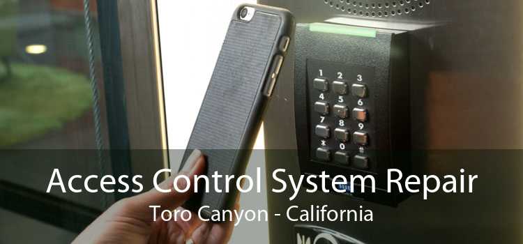 Access Control System Repair Toro Canyon - California