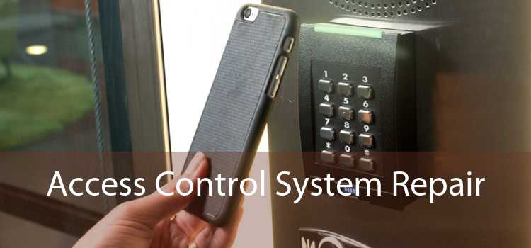 Access Control System Repair 