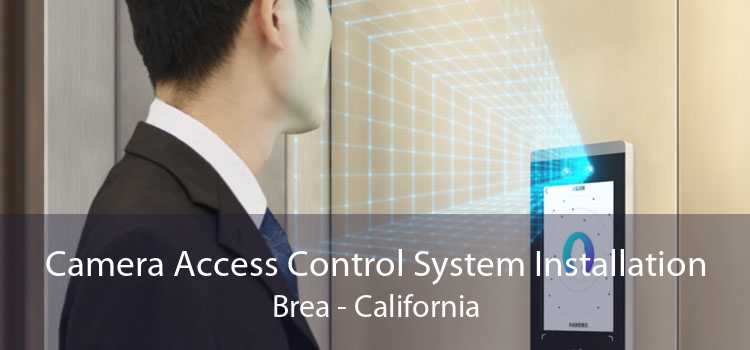 Camera Access Control System Installation Brea - California