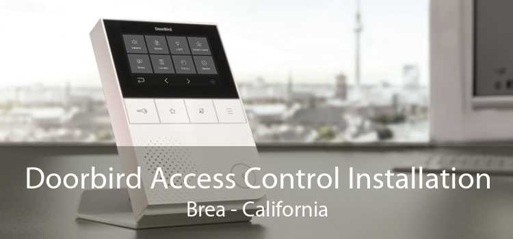 Doorbird Access Control Installation Brea - California