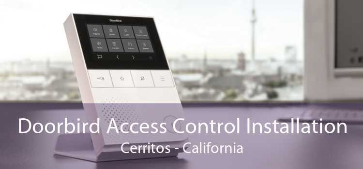 Doorbird Access Control Installation Cerritos - California