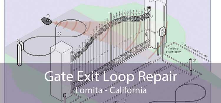 Gate Exit Loop Repair Lomita - California