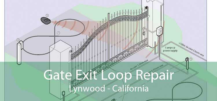 Gate Exit Loop Repair Lynwood - California