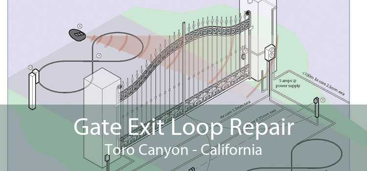 Gate Exit Loop Repair Toro Canyon - California