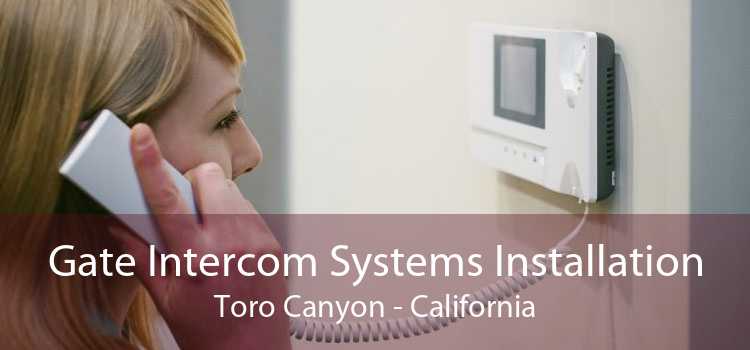 Gate Intercom Systems Installation Toro Canyon - California