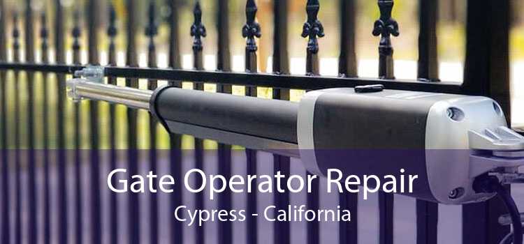 Gate Operator Repair Cypress - California