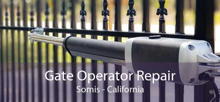 Gate Operator Repair Somis - California