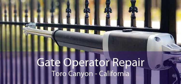 Gate Operator Repair Toro Canyon - California