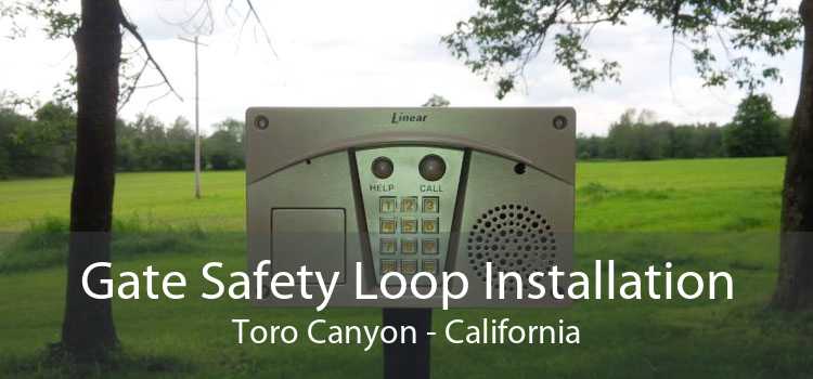 Gate Safety Loop Installation Toro Canyon - California