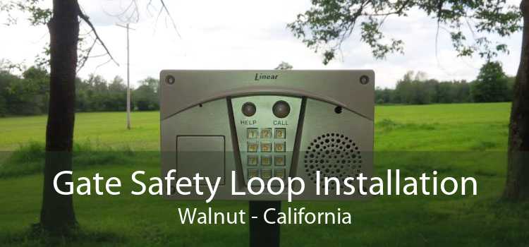 Gate Safety Loop Installation Walnut - California