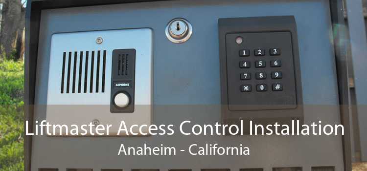 Liftmaster Access Control Installation Anaheim - California