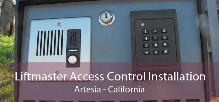 Liftmaster Access Control Installation Artesia - California