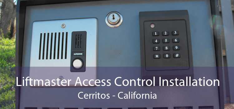 Liftmaster Access Control Installation Cerritos - California