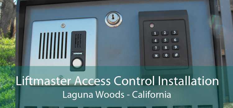 Liftmaster Access Control Installation Laguna Woods - California