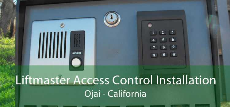 Liftmaster Access Control Installation Ojai - California