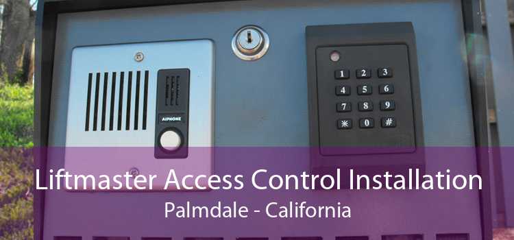 Liftmaster Access Control Installation Palmdale - California