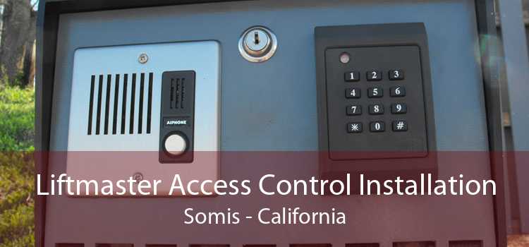 Liftmaster Access Control Installation Somis - California