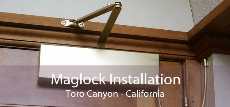 Maglock Installation Toro Canyon - California