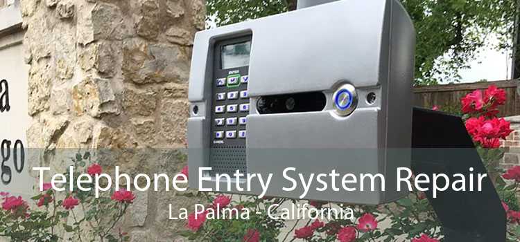 Telephone Entry System Repair La Palma - California