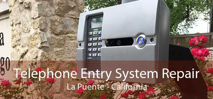 Telephone Entry System Repair La Puente - California