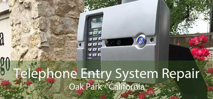 Telephone Entry System Repair Oak Park - California