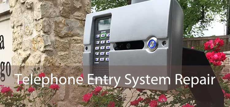 Telephone Entry System Repair  - 